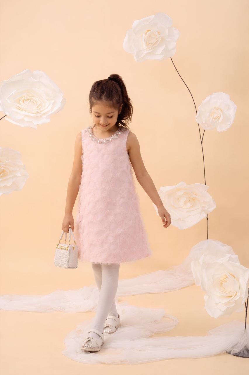 Blossom Pink Frill Net Dress