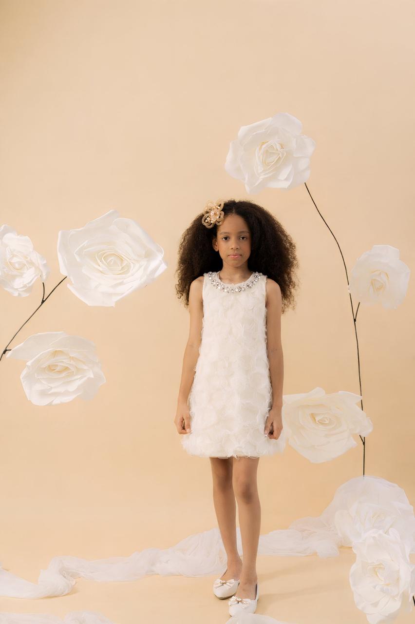 Ivory Lace Elegance Dress